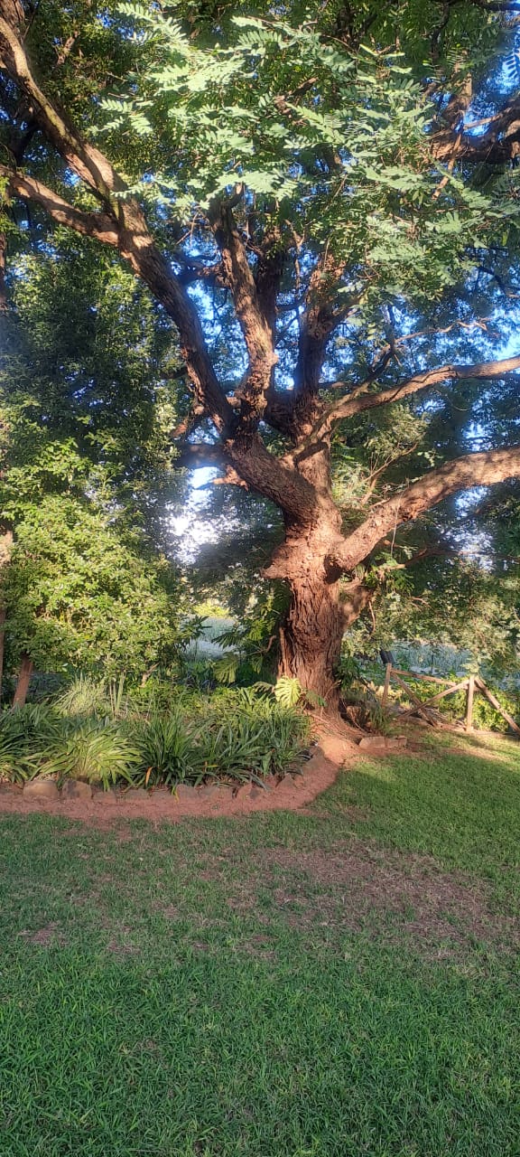 4 Bedroom Property for Sale in Rustenburg Rural North West